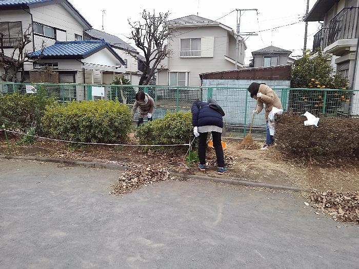 落ち葉を集めました