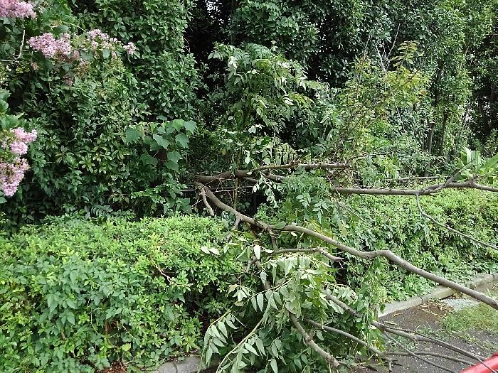 中田西一丁目公園