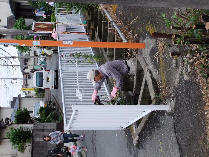水路の雑草除去