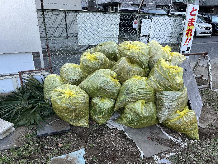 ������ƌ���