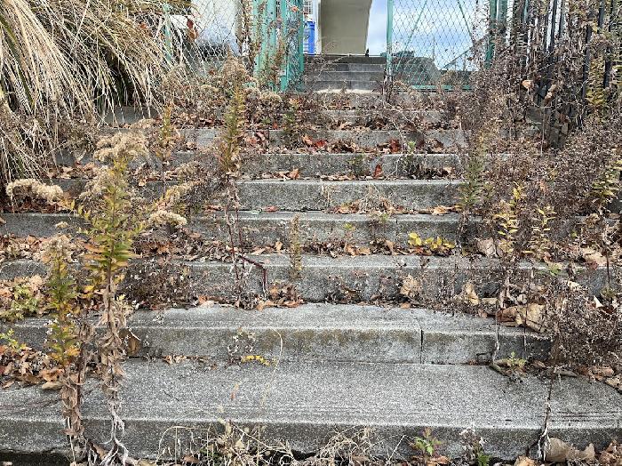 �������󋵂ł��B