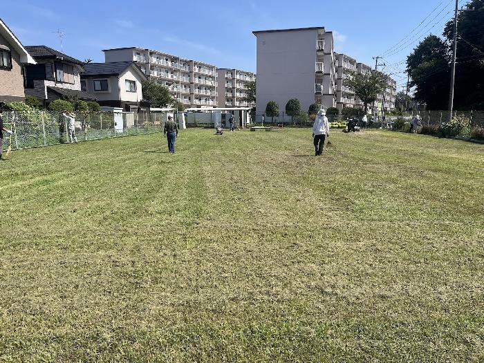 こんなに奇麗になりました。