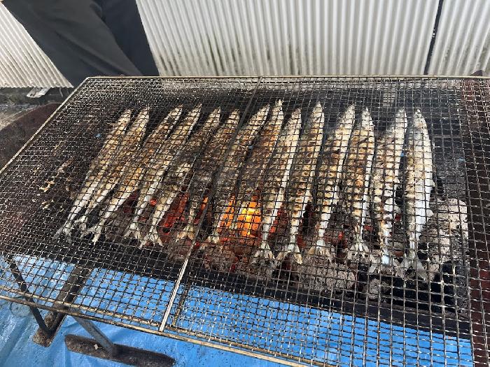 ひさびさのサンマでした。