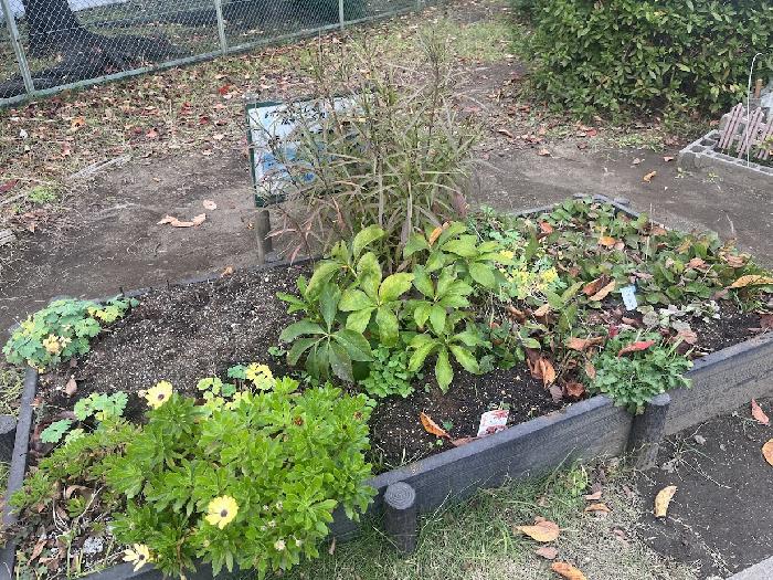 ����܂��܂���