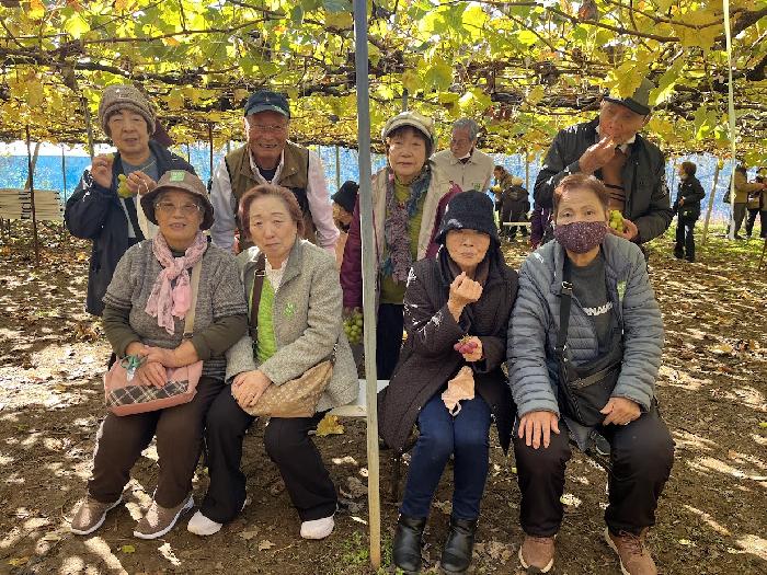 �u�h�E���ł�