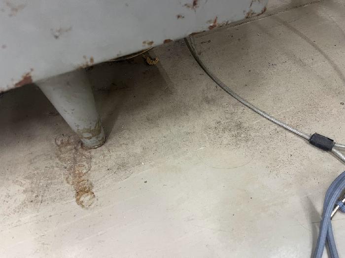 �E�����̏����|