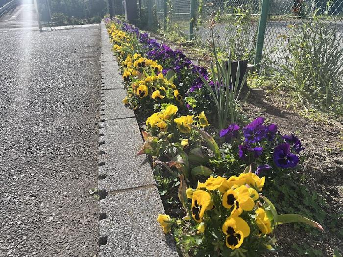 �t�ɒ������ԁX