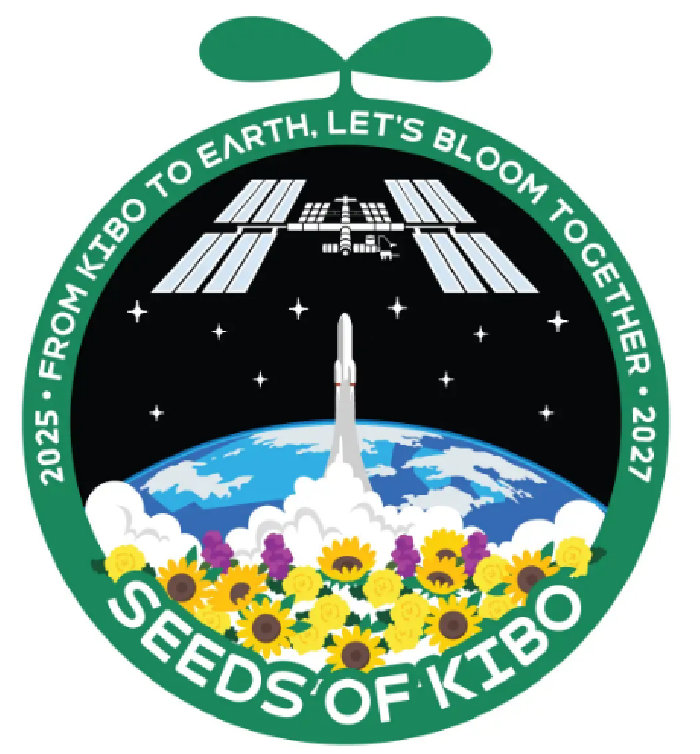 ���ڂ��̎�v���W�F�N�g